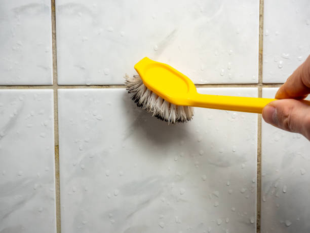 Best Residential Mold Removal  in San Juan, TX