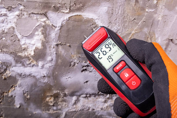 Professional Mold Removal in San Juan, TX