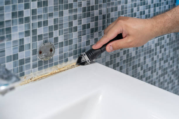Office Mold Removal Services in San Juan, TX