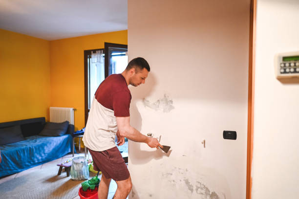 Best Best Mold Removal Companies  in San Juan, TX